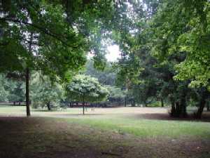 Parkteil im englischen Stil - mit weiten Flächen und alten Bäumen