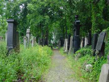 stiller Weg durch den Grünbereich des Friedhofes