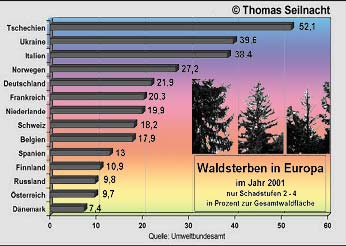Diagramm: Beispiel für die Waldschäden (Stufe 2 - 4) in einigen europäischen Ländern